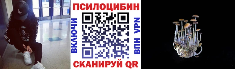 Галлюциногенные грибы Cubensis  цены наркотик  Димитровград 