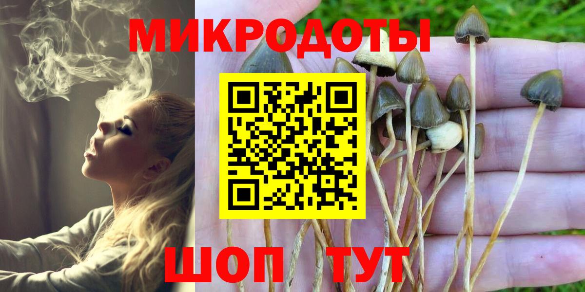Димитровград  закладки  Вход с VPN  Псилоцибиновые грибы Cubensis 