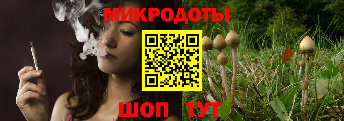 Псилоцибиновые грибы мухоморы Димитровград